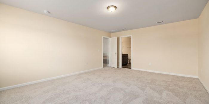 How to decorate beige carpet rental apartment